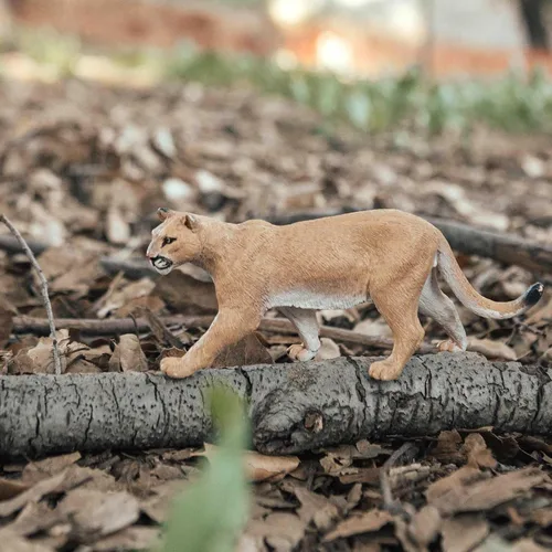 Miniatura 2 de Safari Ltd. Figura de león de montaña, figura realista de plástico de 5.5 pulgadas, juguete educativo para niños, niñas y niños a partir de 3 años