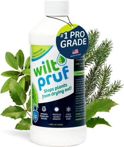 Miniatura 12 de Wilt-Pruf® Concentrado Protege contra daños en invierno, sequías y estrés Simplemente rocía y deja secar Bloquea la humedad con película