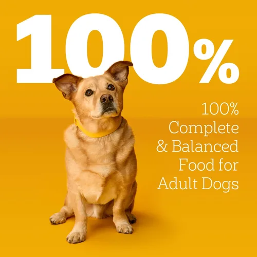 Miniatura 4 de Pedigree Choice Cuts in Gravy - Alimento húmedo para perros adultos, paquete variado de 30 unidades con sabor a carne, bolsas de 3.5 onzas