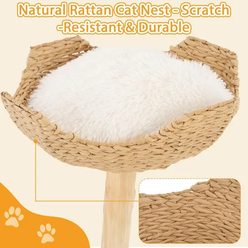 Miniatura 5 de Natural Modern - Torre de árbol para gatos, condominio de madera para gatos con bola colgante, cestas acogedoras, postes rascadores, para gatos