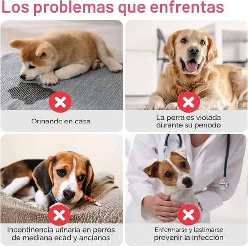 Miniatura 6 de Pañales Desechables para Perras, Pañales para Cachorros con Cintura Elástica Ajustable para Perras o Gatas en Celo, Incontinencia, Pañal