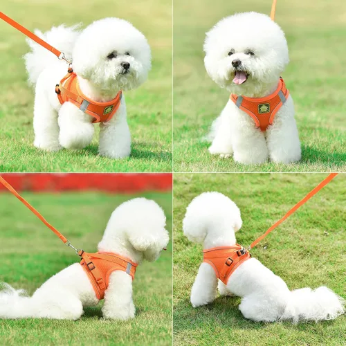 Miniatura 22 de Juego de arnés y correa para perros pequeños, arnés reflectante ajustable sin tirones, arnés transpirable suave para cachorros y perros pequeños
