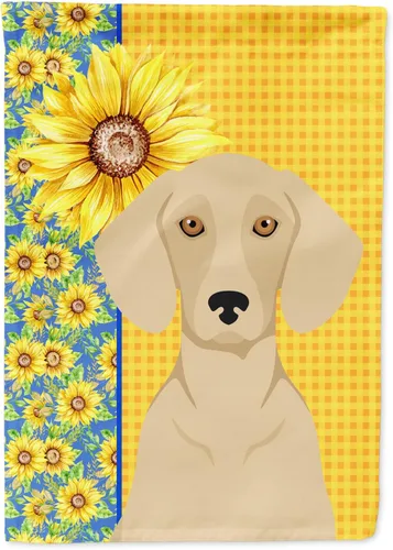 Miniatura 52 de Caroline's Treasures WDK5331CHF - Bandera de verano con diseño de girasoles rojos y blancos, manga grande, para porche, para colgar en la pared