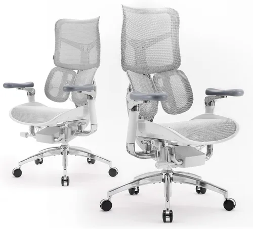 SIHOO Doro S300 Silla Ergonómica de Oficina, Silla de Computadora, Silla Gaming con Soporte Lumbar Dinámico Doble, Reposabrazos Coordinados 6D,