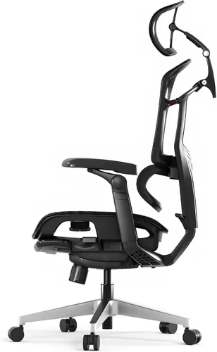 Miniatura 12 de FLEXISPOT Silla ergonómica de oficina ErgoX-PRO con reposapiés negro – Asiento de malla AeroWeave 5.0, lumbar 5D, reposabrazos 7D, reposacabezas 4D