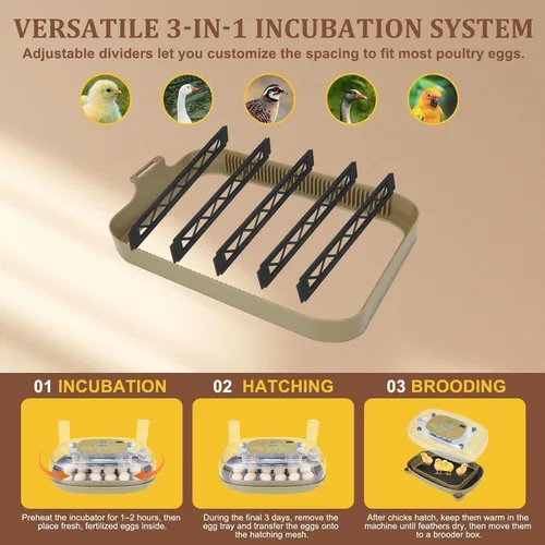 Miniatura 7 de Incubadora de 24 huevos para incubar con girador automático, control inteligente de temperatura y humedad, visualización 360°, ovoscopio, recarga