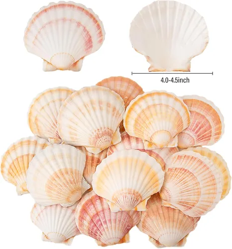 Miniatura 2 de 6 conchas de vieira de 4 a 4.5 pulgadas, conchas marinas naturales amarillas y rosas hawaianas para hornear, manualidades, relleno de jarrón