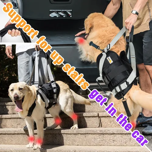 Miniatura 4 de Arnés de elevación para perros grandes, cabestrillo de cuerpo completo con asa, para subir escaleras/apoyo en las patas traseras/lesiones