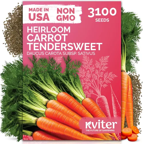 KVITER 3100 semillas de zanahoria tiernas para plantar (Daucus carota) - Semillas de vegetales sin OMG para jardín al aire libre - Zanahorias dulces