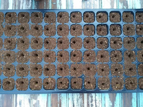 Miniatura 7 de Somos el excavador de suelo original de 24 agujeros y espaciador de semillas para plantar semillas Nueva herramienta de jardín, regalo