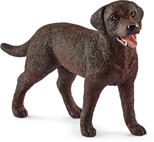 Miniatura 7 de Schleich Farm World, animales de juguete para perros lindos y realistas para niños y niñas, figura de perro sabueso afgano, a partir de 3 años