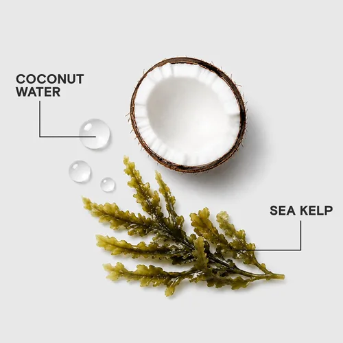 Miniatura 5 de Joico HydraSplash Hydrating Shampoo For Fine, Medium, Dry Hair Replenish Moisture Add Hydration & Softness With Sea Kelp & Coconut Water