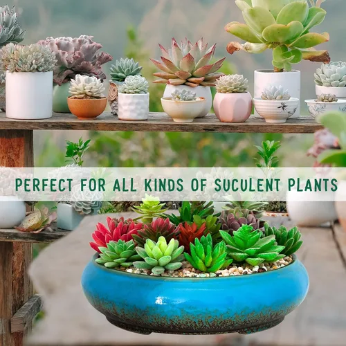 Miniatura 7 de Macetas para suculentas, macetas de cerámica para bonsái de 11.5 pulgadas con drenaje, macetas grandes y poco profundas para plantas