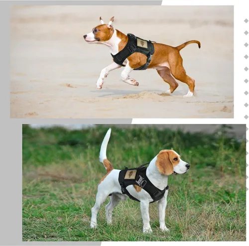 Miniatura 3 de Arnés táctico para perro, chaleco militar Molle para perro K9, chaleco para entrenamiento al aire libre, resistente al desgaste, arnés para perro