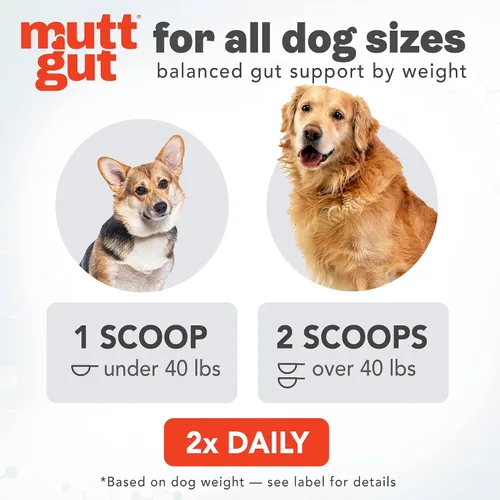Miniatura 5 de Suplemento en polvo 3 en 1 totalmente natural para perros, prebióticos y posbióticos, probióticos para perros con 135 mil millones de UFC
