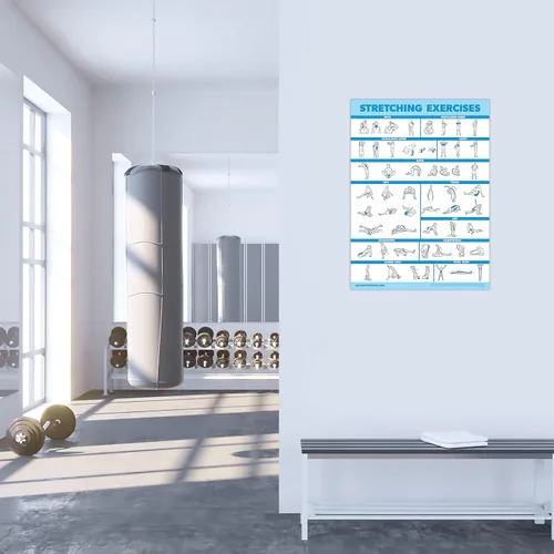 Miniatura 6 de Palace Learning Paquete de 3 pósteres de ejercicios de pesas rusas para ejercicios de estiramiento - Juego de 3 tablas de entrenamiento [ligero]