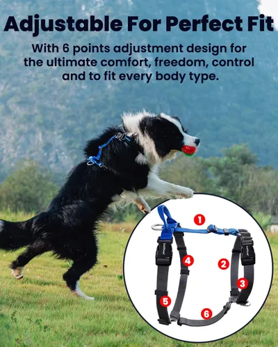 Miniatura 2 de Arnés para perro no restrictivo, fácil libertad de caminar, arnés sin tirones, mantiene el equilibrio, hebilla de cuello, ajuste de seis puntos, 2