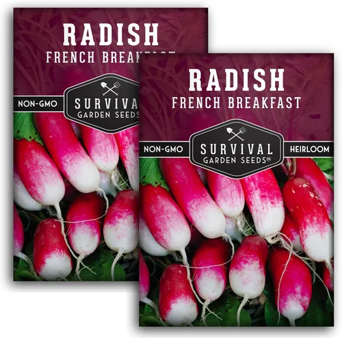 Miniatura 11 de Paquete de 3 semillas de rábano francés para el desayuno para plantar, paquete con instrucciones para cultivar rábanos largos para comer en tu