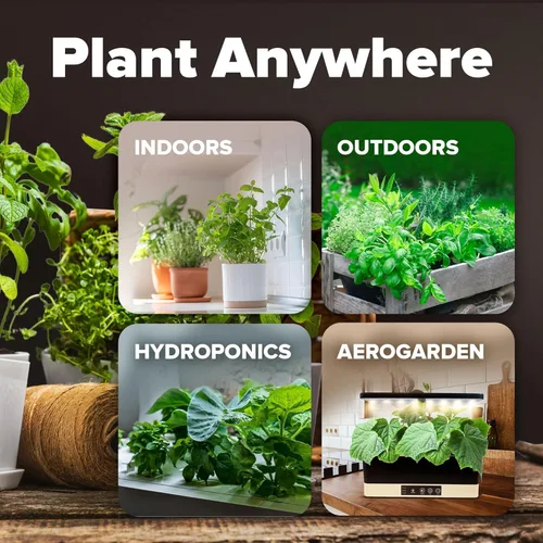 Miniatura 8 de 15 semillas de verduras autóctonas – Más de 7,000 semillas de supervivencia y equipo esencial de preparación de emergencia, semillas de verduras sin
