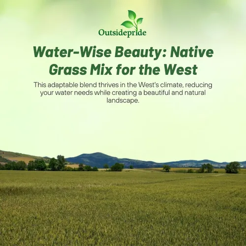 Miniatura 5 de Outsidepride Western Native Grass Seed Mix - Mezcla perenne de temporada cálida y fresca, semillas de césped tolerantes a la sequía para paisajismo