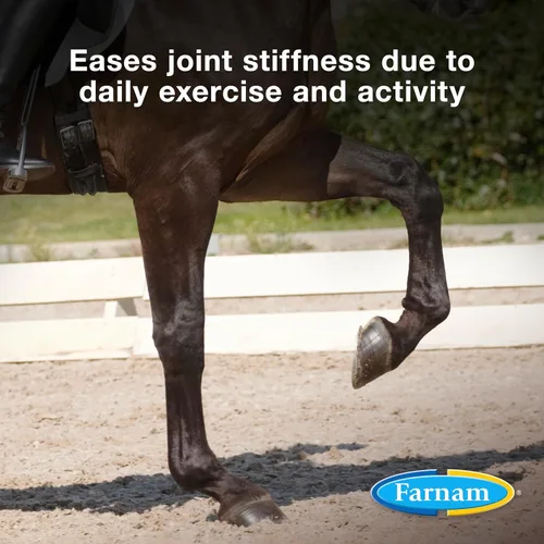 Miniatura 2 de Farnam Next Level Suplemento para articulaciones de caballo para caballos y perros, ayuda a mantener el tejido conectivo para aliviar la rigidez