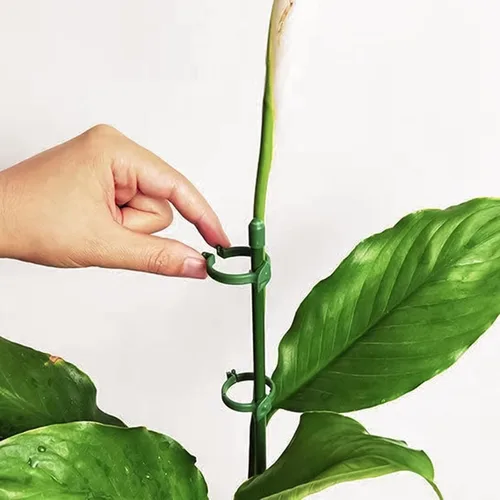 Miniatura 4 de 20 estacas de soporte para plantas, altura ajustable, para jardín, con 40 clips para plantas y 10 tubos de conexión para orquídeas, rosas, peonías
