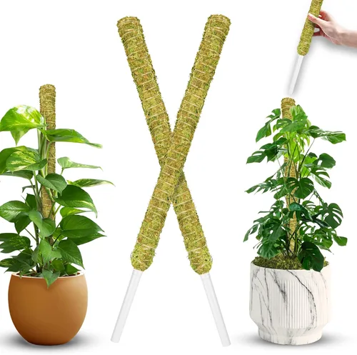 Miniatura 15 de DUSPRO Postes de musgo de malla plana para plantas trepadoras, Monstera, poste de musgo apilable para plantas con musgo real, poste para plantas