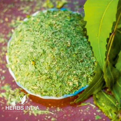 Miniatura 5 de Hojas de neem trituradas (no en polvo), bueno para hacer té fresco de hojas de neem 21.16 oz (21.2 onzas), suplementos herbales - HerbsIndia