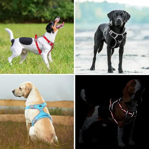 Miniatura 6 de Plutus Pet Arnés para perro sin tirones, liberación en el cuello, arnés reflectante ajustable para perro, asa de fácil control para caminar