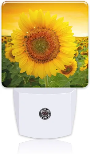 Miniatura 22 de Luz nocturna con colibríes y mariposas azules, enchufe de pared con sensor de atardecer a amanecer, linda luz nocturna para niñas, niños, mujeres