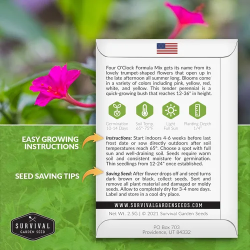 Miniatura 2 de 1 paquete de semillas de mezcla de fórmula de cuatro en punto para plantar con instrucciones para cultivar flores coloridas en tu hogar, vegetales