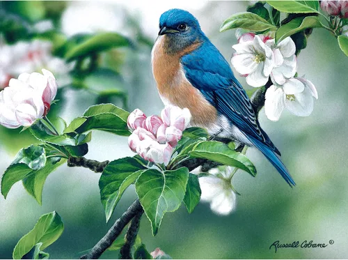Miniatura 10 de Gift Essentials Rompecabezas de 1000 piezas – Collage de amigos de aves del patio trasero: 25 retratos de tus pájaros favoritos en el patio trasero