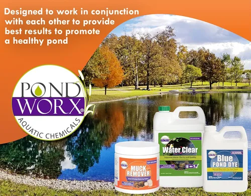 Miniatura 6 de Pondworx Pond Bacteria - Concentrado y formulado para características del agua - Seguro para Koi - 16 onzas y trata hasta 2,500 galones de agua