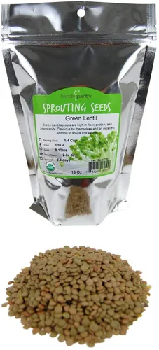 Miniatura 11 de Semilla de germinación de lentejas verdes secas orgánicas: 2.5 lb - Lentejas secas para plantar semillas de jardín, sopa, cocinar o ensalada