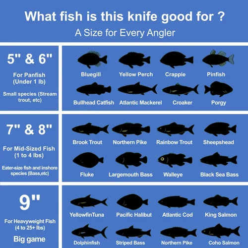 Miniatura 8 de ANTOWIN Cuchillo de filete de 7 pulgadas para pescado, hoja de acero inoxidable SG2 japonés de grado profesional, cuchillos de filete de pesca