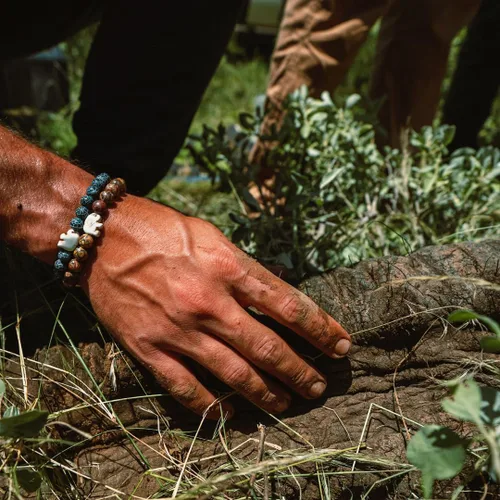 Miniatura 13 de Fahlo Pulsera de seguimiento de elefantes, elástica, soporta Save The Elephants, talla única para hombres y mujeres