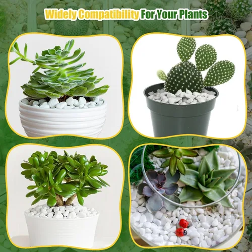 Miniatura 6 de Doter Perlita gruesa orgánica para plantas (0.4 a 0.8 pulgadas de diámetro), mezcla de acondicionador de aditivo natural para suelos