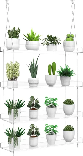Miniatura 4 de Estantes transparentes colgantes de 2 niveles para plantas en ventanas, estante acrílico de ventana y pared para plantas para cocina, jardines