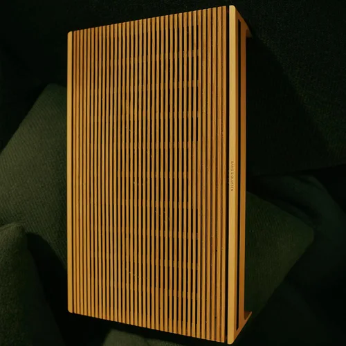 Miniatura 14 de Bang & Olufsen Beosound Level - Altavoz portátil multihabitación con Wi-Fi, tono dorado/roble claro