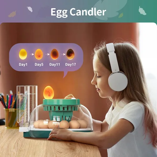 Miniatura 4 de Incubadora automática de huevos para incubar huevos con pantalla LED de temperatura, control de humedad y volteador de huevos, incubadora de tapa