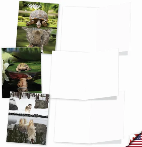 Miniatura 3 de The Best Card Company Juego de 20 tarjetas de notas en blanco surtidas de 4 x 5.12 pulgadas con sobres para hombres, mujeres (diseños de 10 x 2)