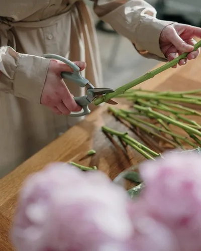 Miniatura 5 de Tijeras de flores – Tijeras florales de acero inoxidable, cortadores de floristería para tallos, tijeras de plantas de jardín para flores frescas