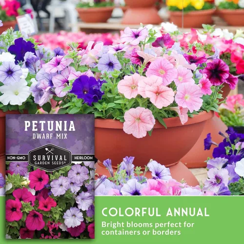 Miniatura 6 de Mezcla de semillas de petunia enana para plantar, planta y cultiva flores coloridas para atraer polinizadores al jardín de tu hogar, variedad
