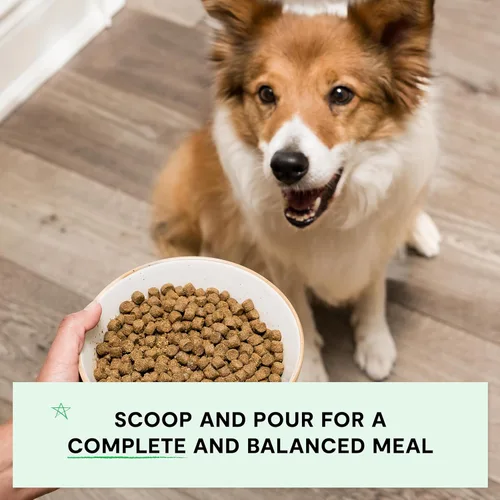 Miniatura 6 de Open Farm - Alimento seco para perros sin granos de cordero criado en pasto, receta de cordero de Nueva Zelanda con superalimentos sin OMG y sin