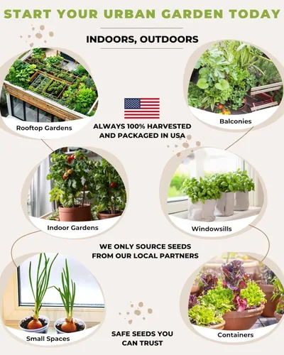 Miniatura 3 de Tactiko Survival Kit de 15 variedades de semillas de vegetales para pequeños jardines urbanos, balcones y patios, sin OMG, reliquia, semillas enanas