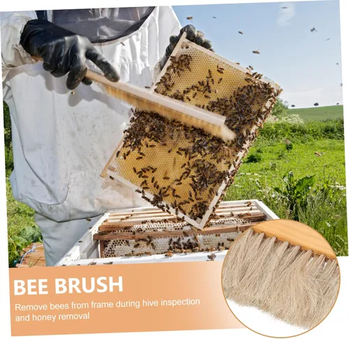 Miniatura 3 de SUPVOX Cepillo de abeja resistente con mango de madera para apicultores para mantenimiento de colmenas