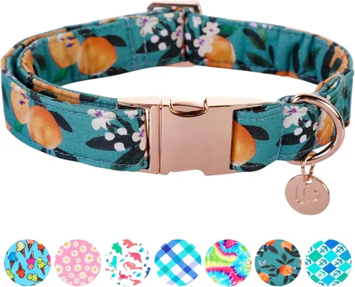 Miniatura 11 de Collar de perro de algodón de dinosaurio con hebilla de metal, collar de regalo para niñas o niños pequeños, medianos y grandes, lindos collares