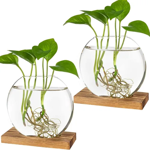 Miniatura 5 de Kingbuy Maceta redonda de vidrio con soporte de madera, florero de propagación para plantas hidropónicas, plantas de araña, potos en decoración
