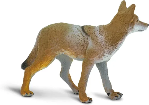 Miniatura 4 de Safari Ltd. Figura de Coyote – Figura de modelo realista de 3.75 pulgadas – Juguete educativo para niños, niñas y niños a partir de 1 año