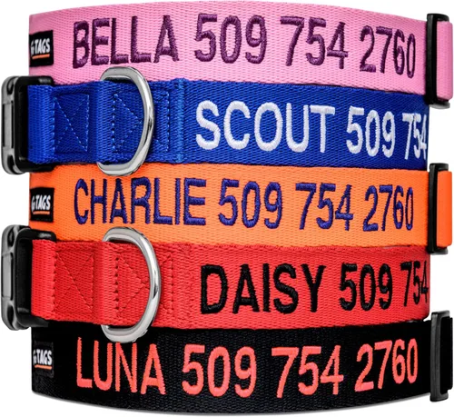 Collar para perros personalizado, collares bordados con nombre de mascota y número de teléfono, azul, negro, rosa, rojo y naranja collares para
